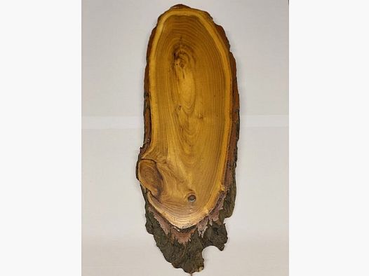 Acaciaborden voor hertentrophäen 35cmx12cm