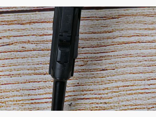 DWM P08 Vopo