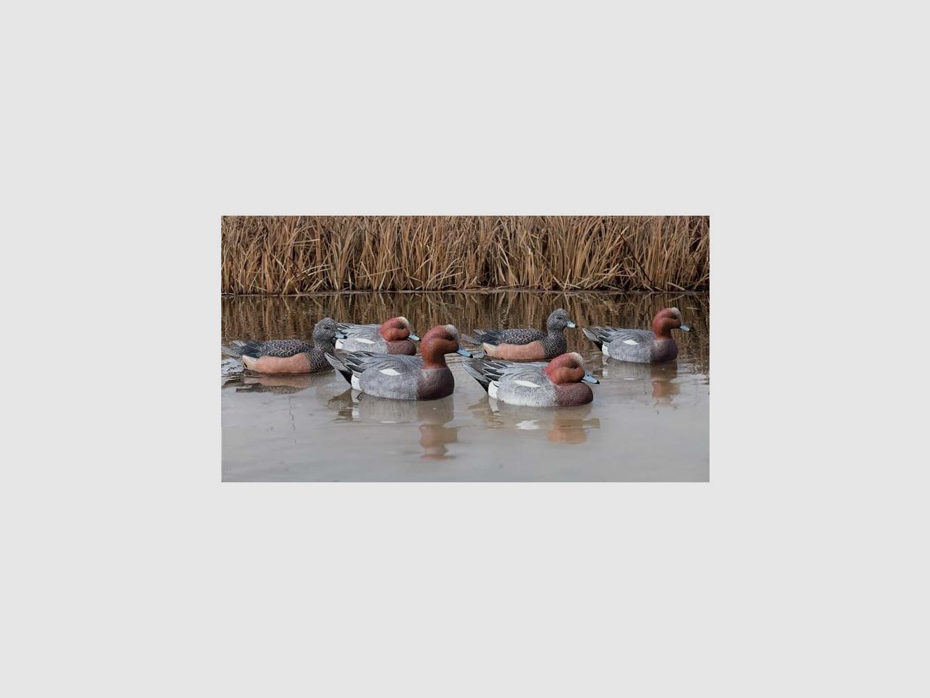 AvianX Whistle Forms, image 2 of 7