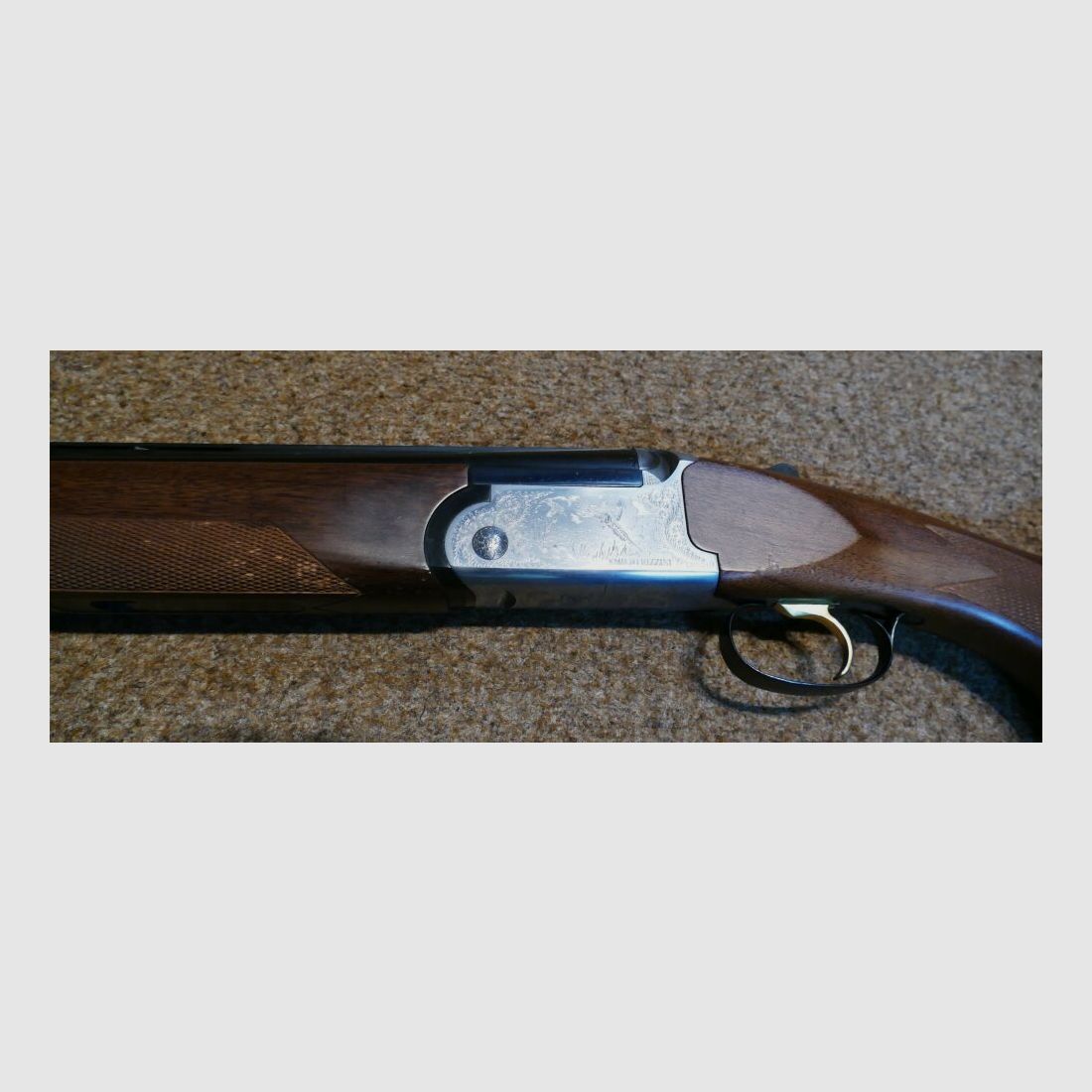 Rizzini Albion