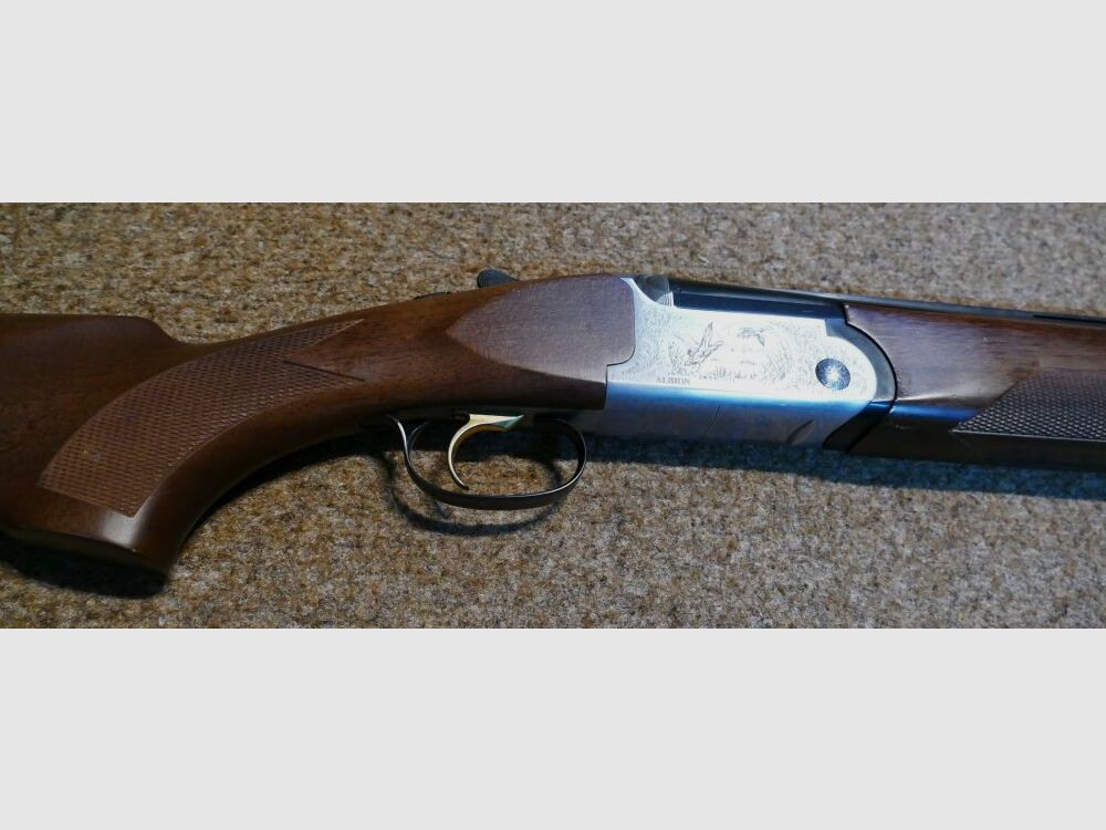 Rizzini Albion