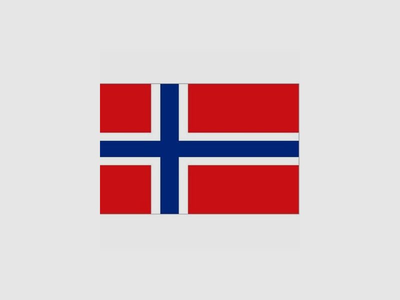 Noorse vlag, afbeelding 1 van 3
