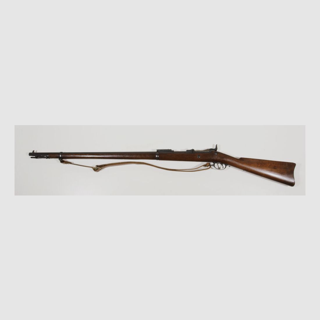 Springfield	 Mod.1884 Experimental Ramrod Bayonet Rifle  Artikel 16549