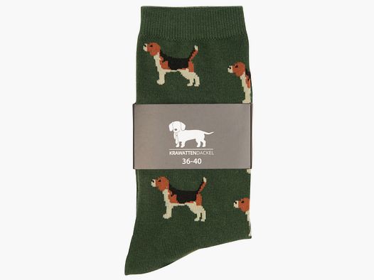 Krawattendackel Socken mit Beagle