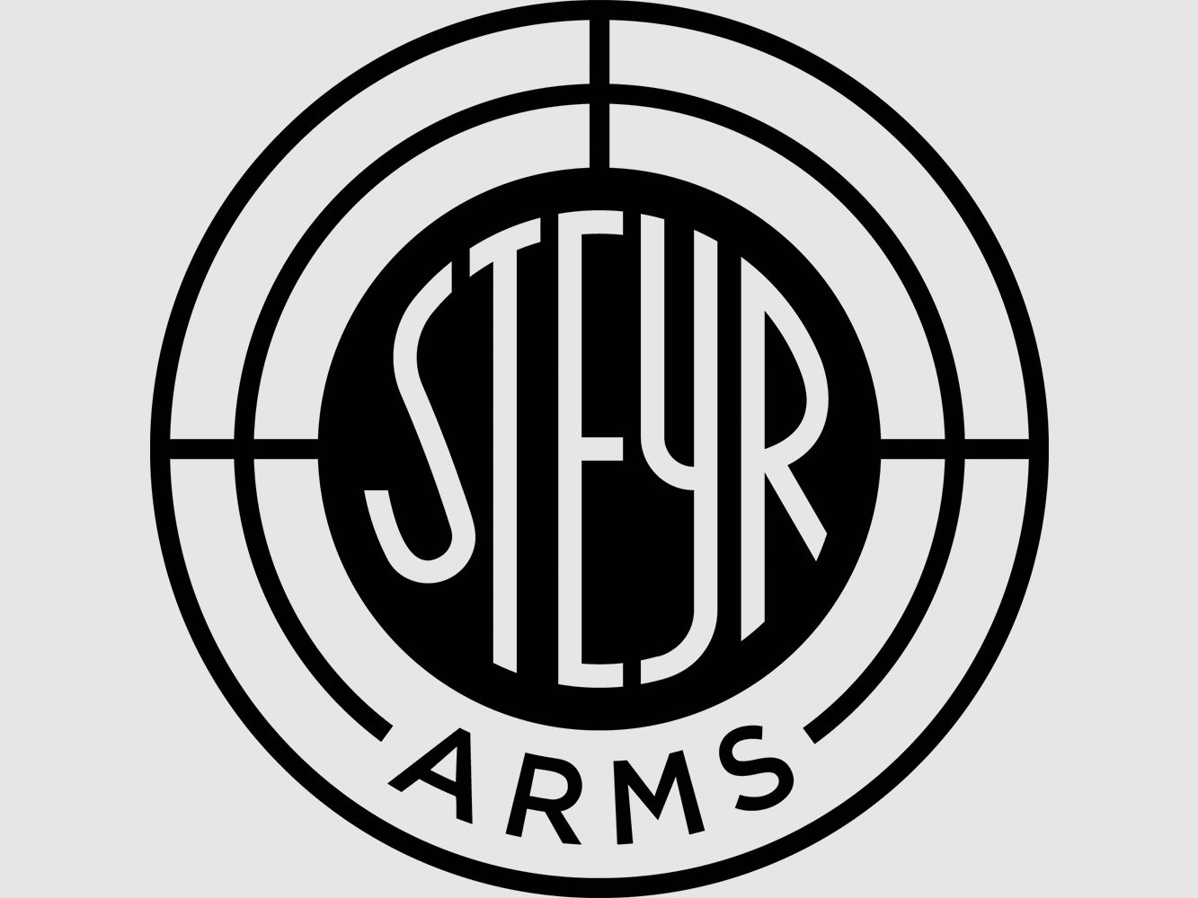 Juego de paneles de agarre Steyr Arms para pistolas A2