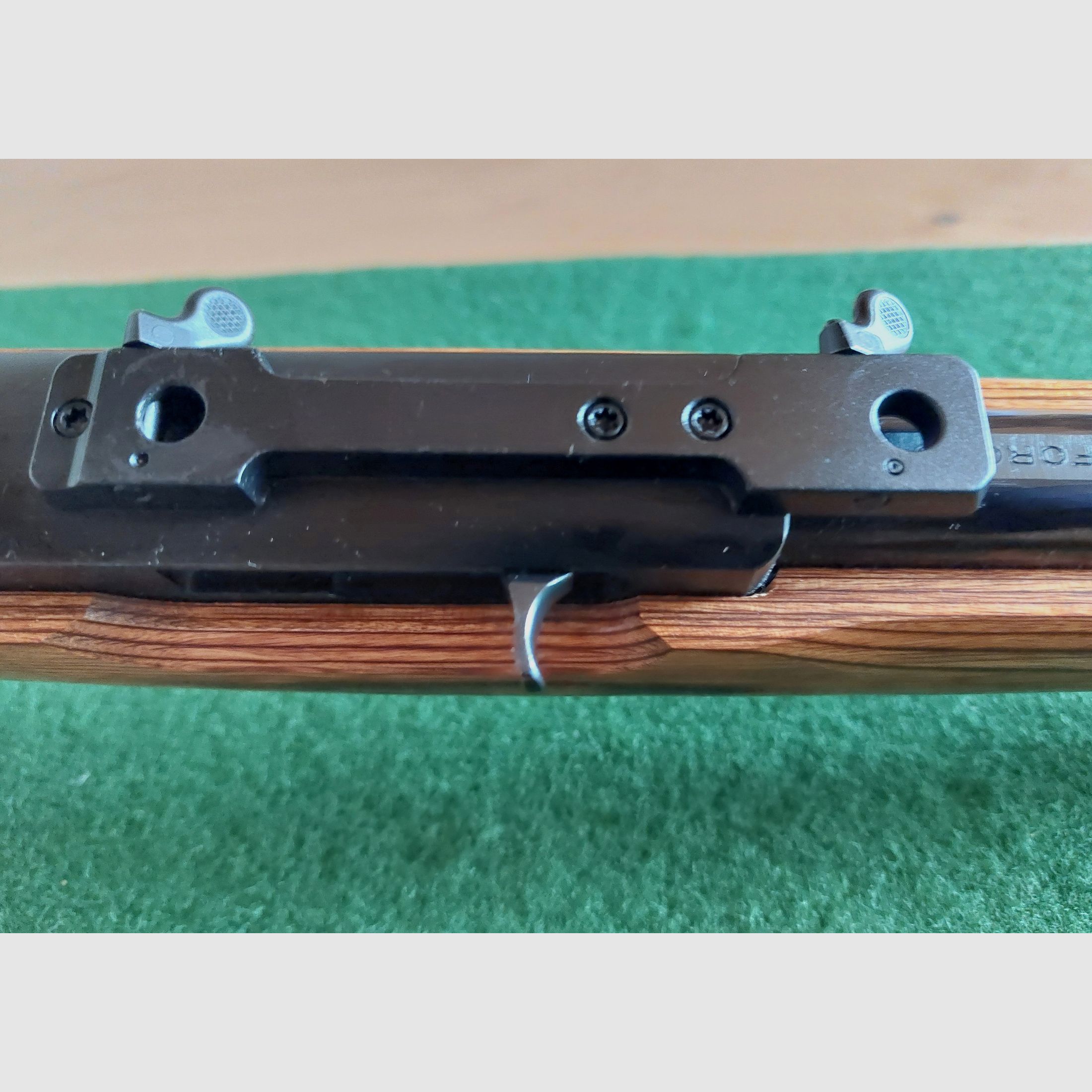 Ruger 10 22 Target
