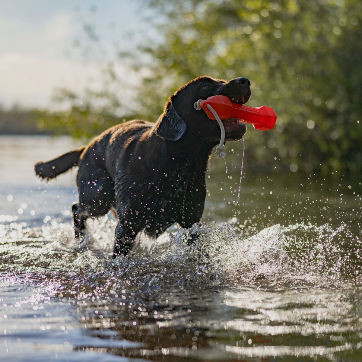 HP&G Apportierdummy Balance Bumper 320g Orange
