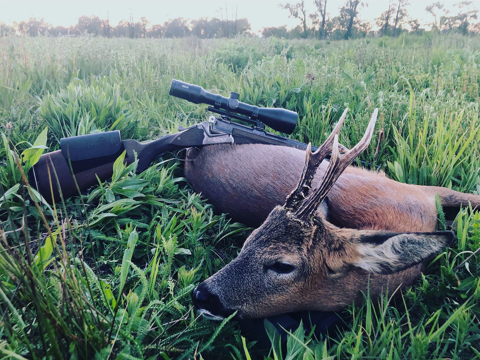 Bockbüchsflinte BBF Sauer 54 mit Meopta R1r 3-12x56 RD