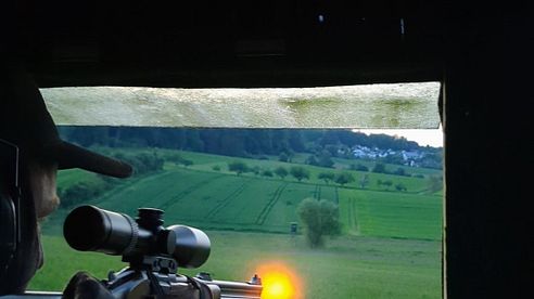 Paforce Vorderschaft-Gewehrauflage