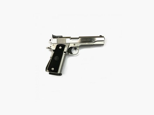 Para Ordnance P16-40 Big Target Kal. 40 S&W