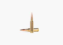 NORMA Municja Metalowa Konkursowa 6,5×55 Golden Target 130 Grains