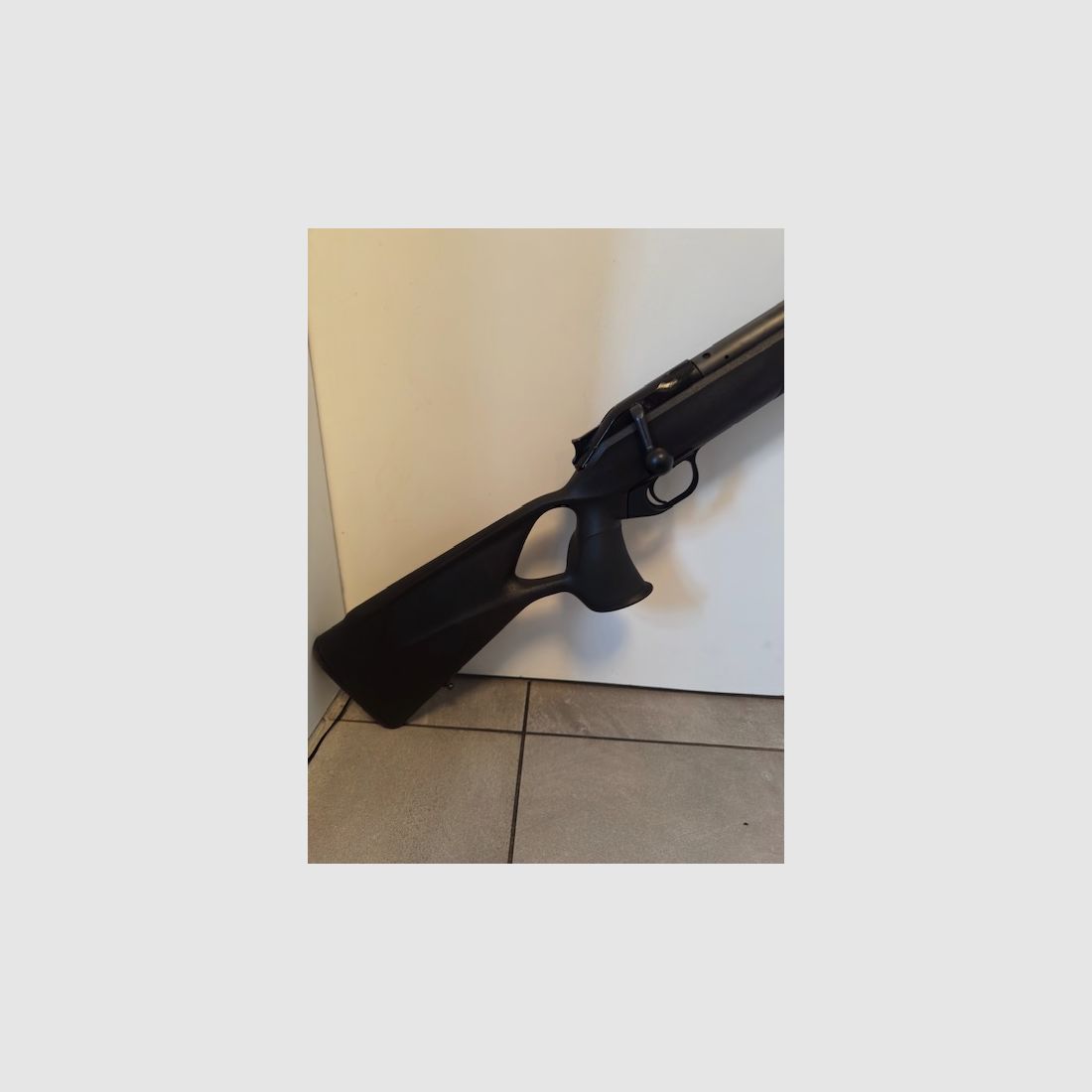 Blaser R8 Professional Success