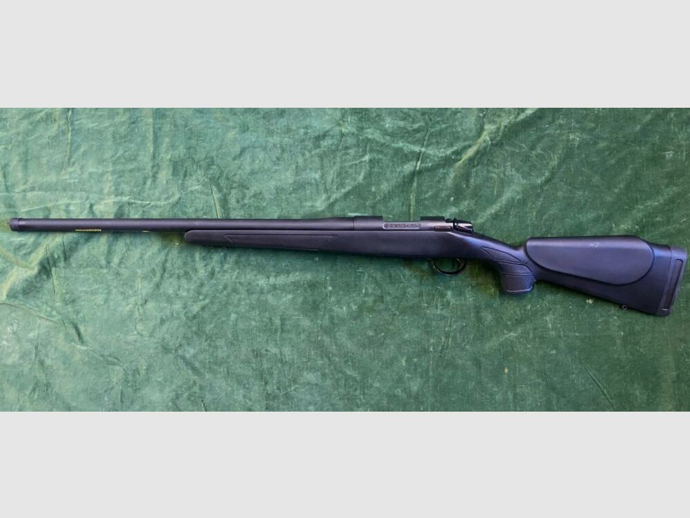 Bergara B 14
