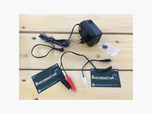 ROYAL CARICA BATTERIA VARIE NI-MH