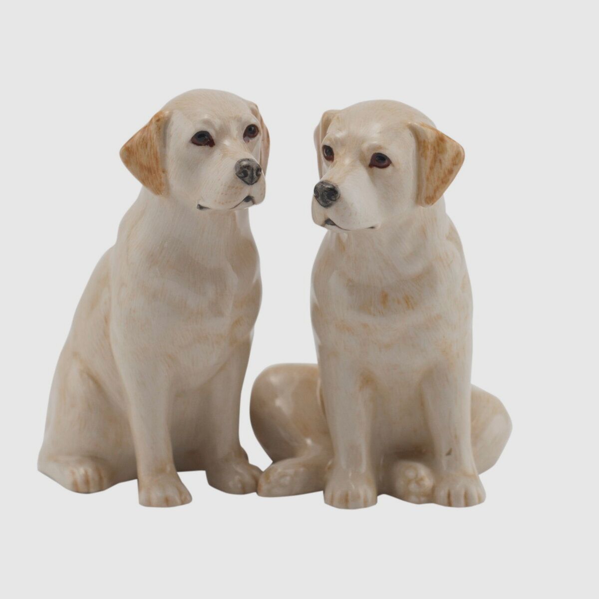 Lovergreen Porzellan Motiv Labrador Gold Salz- und Pfefferstreuer