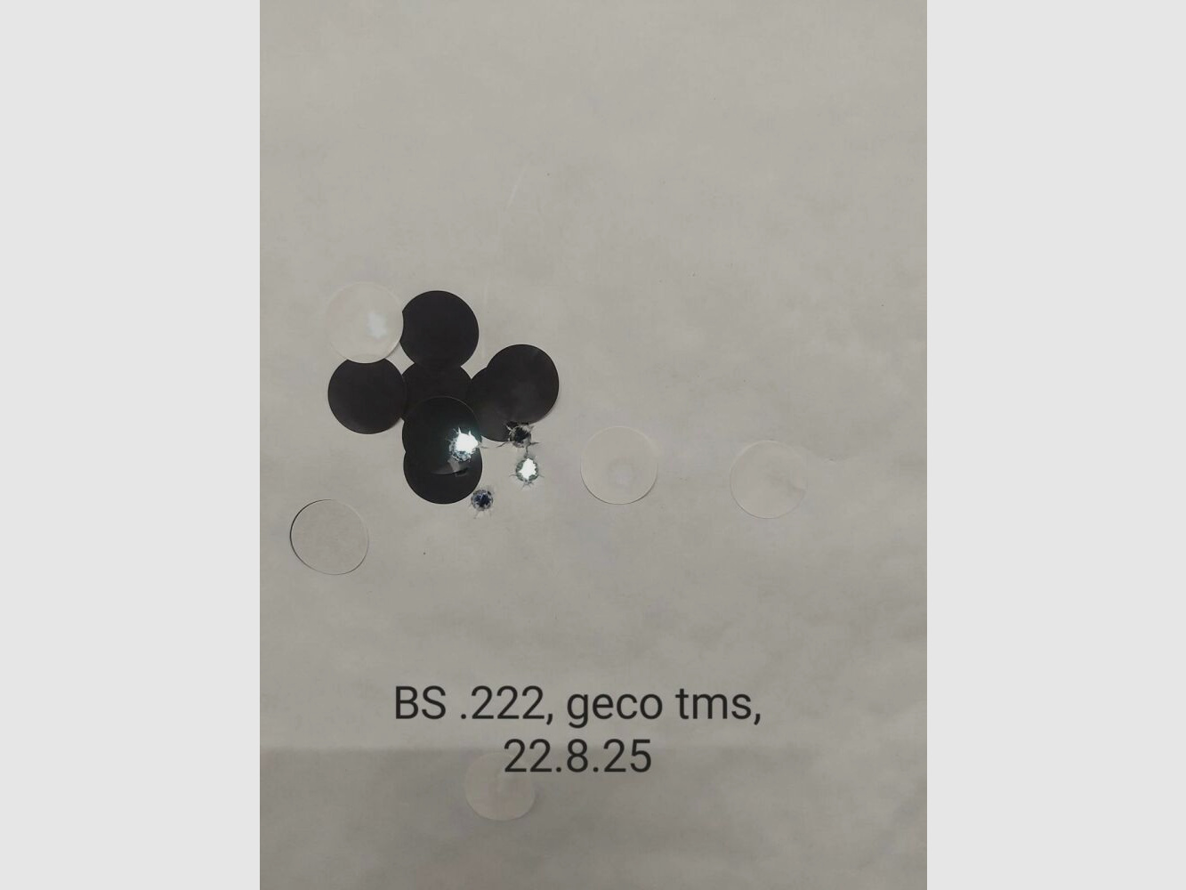 Blaser BS 95 with Steiner Ranger