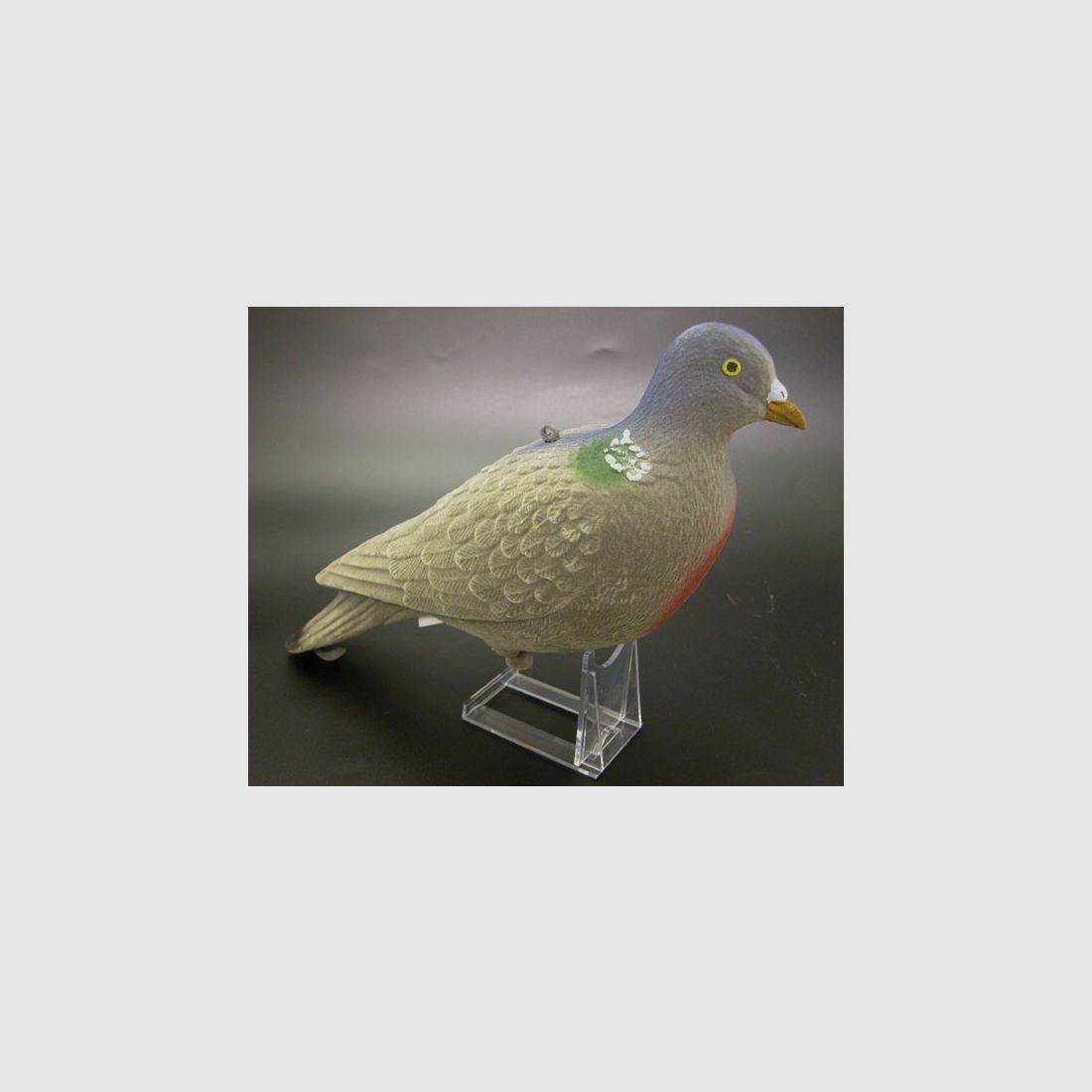 Vollkrper LOCKTAUBE BEFLOCKT Top Qualitt