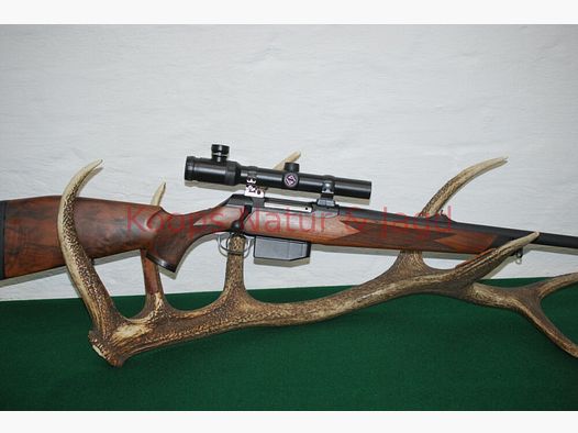 Sauer 202 Forest