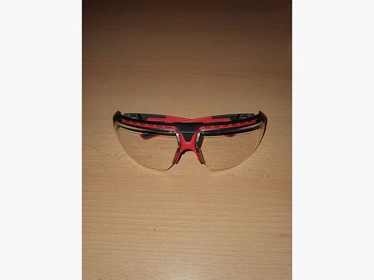 Honeywell Schutzbrille Avatar