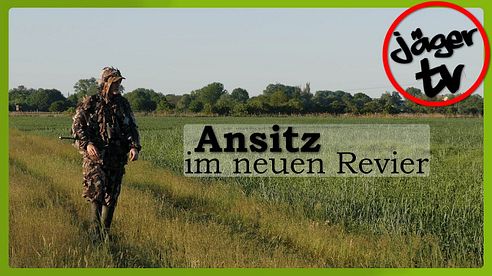 Sauen & Co | Ansitz im neuen Revier