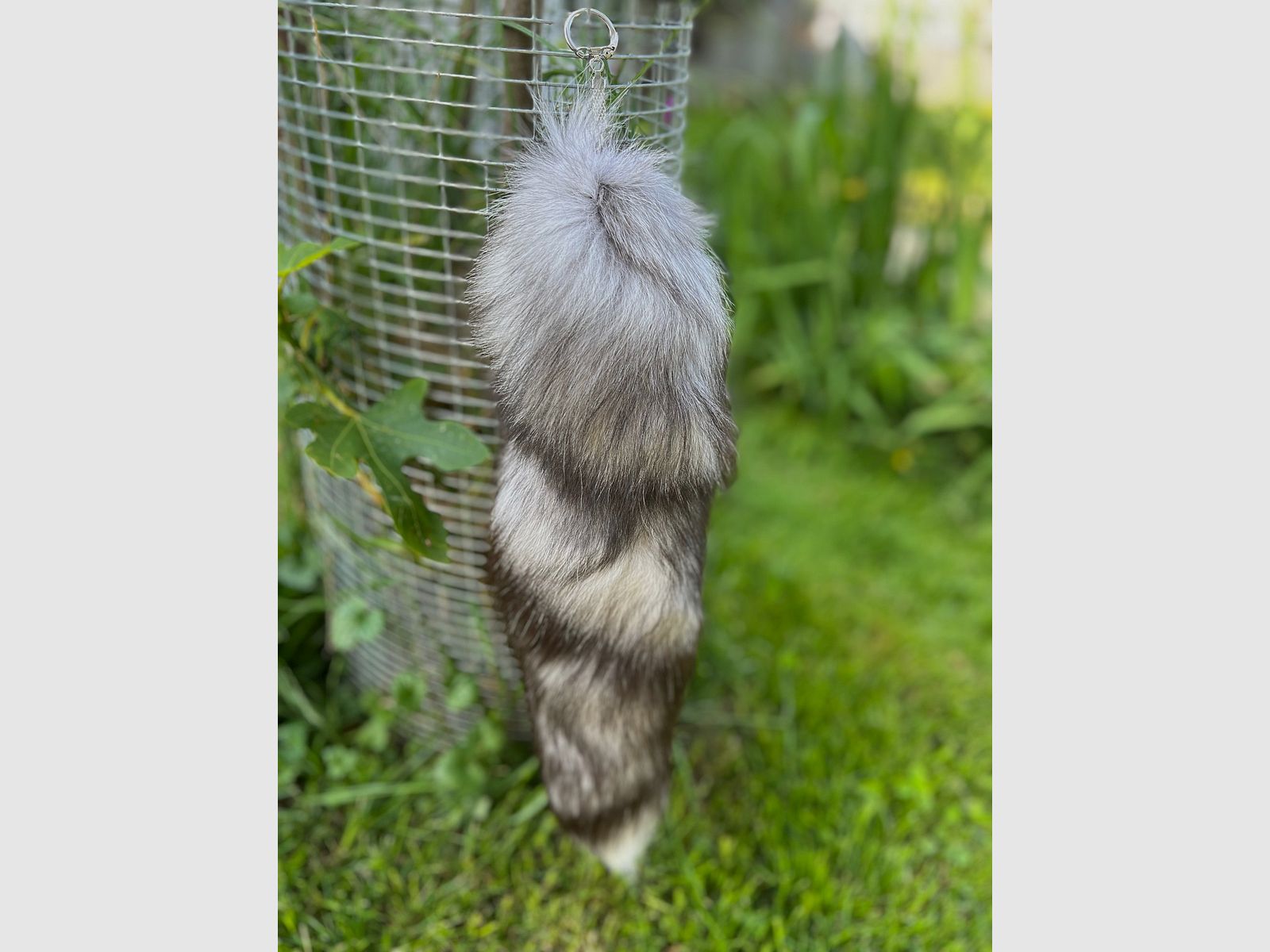 Actual blue fox tail with keychain