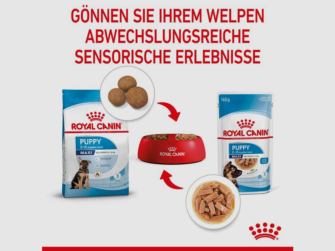 ROYAL CANIN Große Hunde Nassfutter Maxi Welpen bis zum 15. Monat 10x140 g
