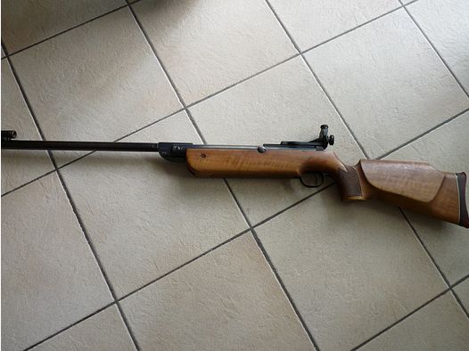 Diana Model 60