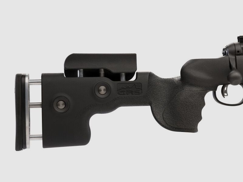 SAVAGES 10GRS RIFLE SA	 Savage 10GRS Bolt Action Rifle 308 Win 20" Heavy Fluted Threaded Barrel 10 Rounds AccuTrigger GRS Adjustable Stock Matte Black