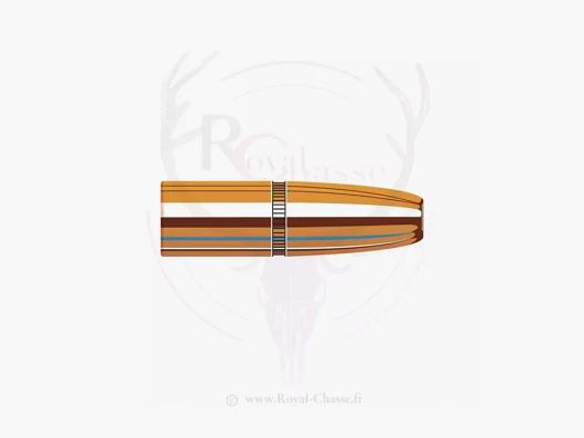 50 ogives Cal.375 D.375 300Grs DGS HORNADY