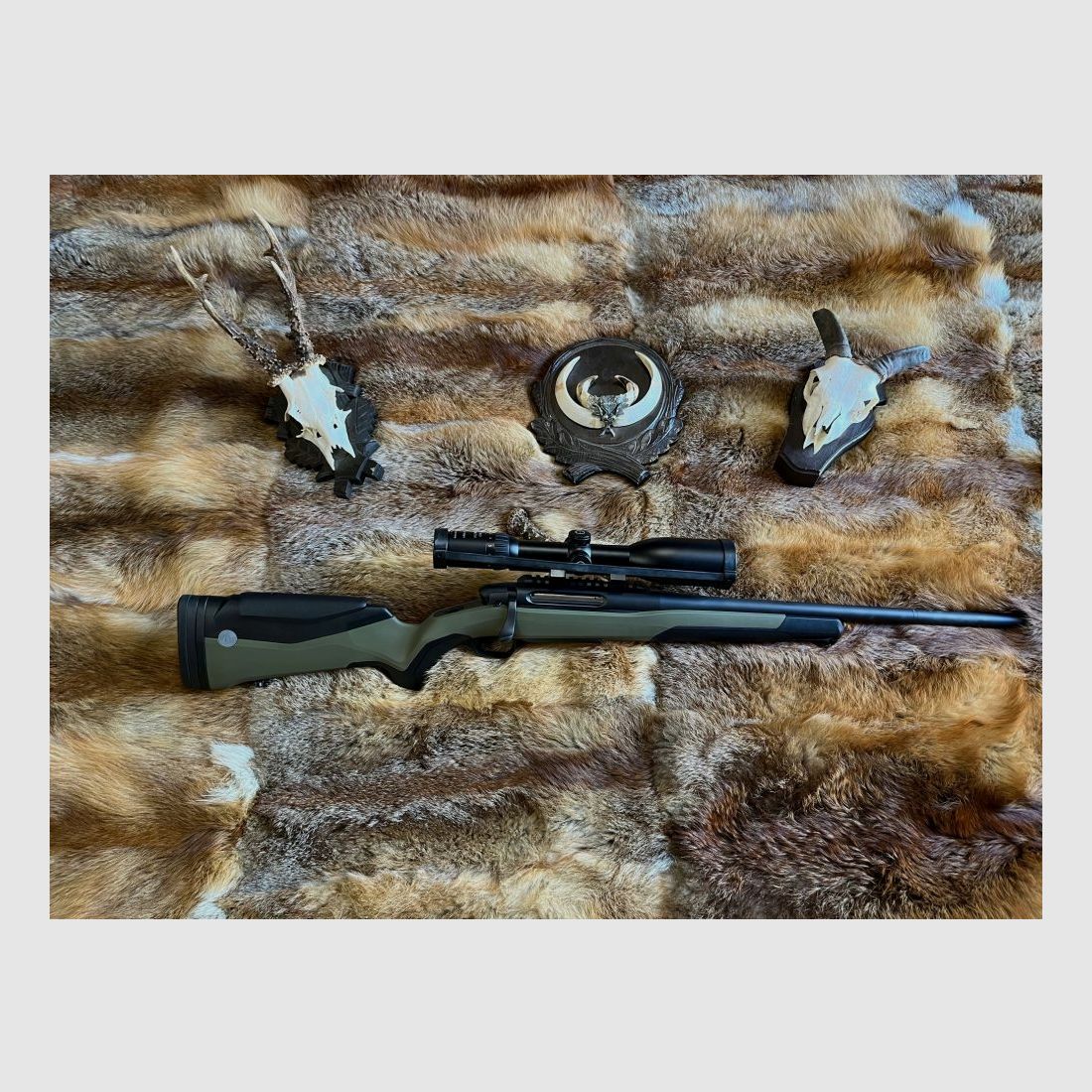 Steyr MS Wild