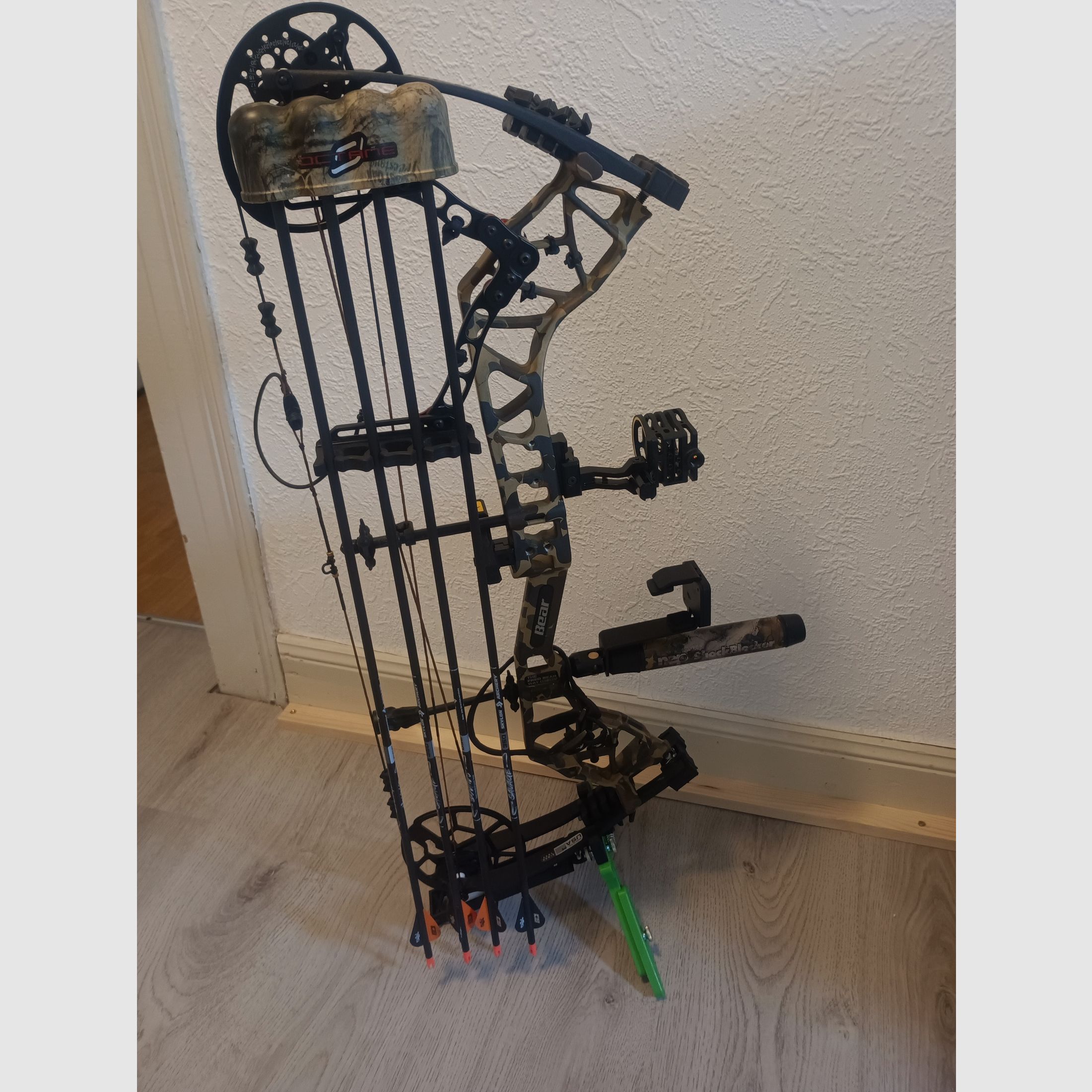 Compoundbogen Bear Legit maxx rth