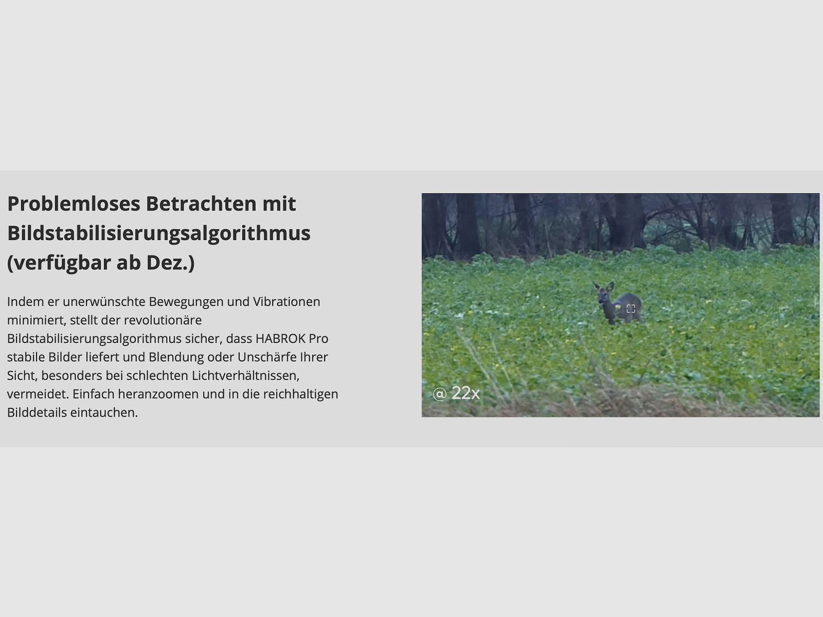 Hikmicro Binocolo Habrok Pro HQ50LN Telecamera termica di visione notturna 1920 × 1080 OLED