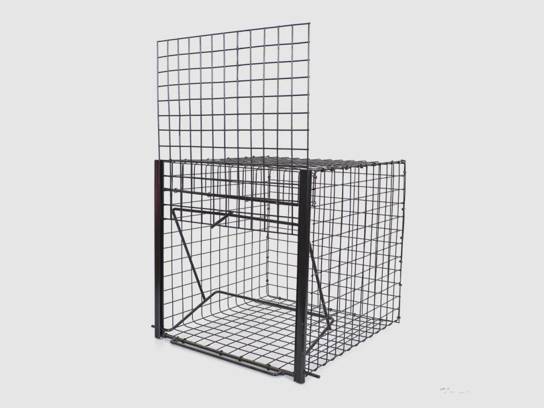 Set di 3 Trappole Individuali in Rete Saldato Zincato 21x31x21cm, immagine 1 di 6