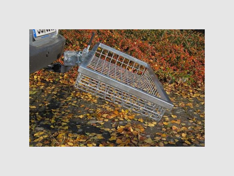 Hecktransporter Deluxe absenkb., 1000x500x125 mm (Edelstahl), Bild 1 von 2