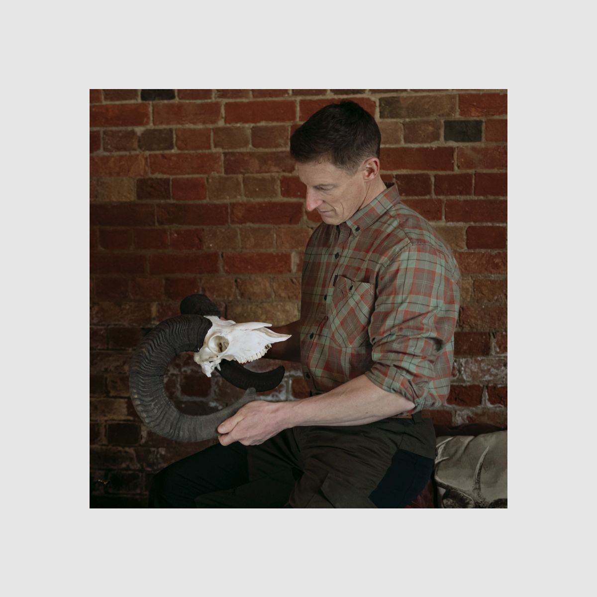 SHOOTERKING Forest Mist Hemd