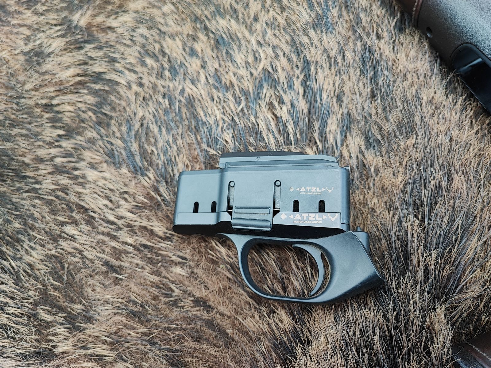 Blaser R8 Professional Success 