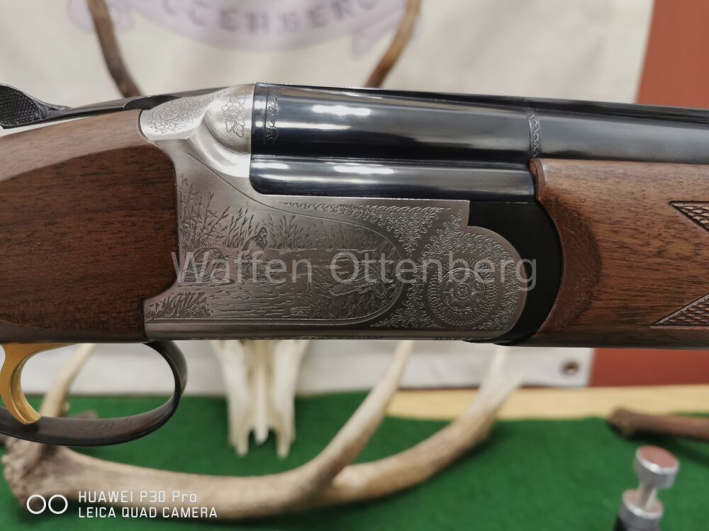 Kettner Campione