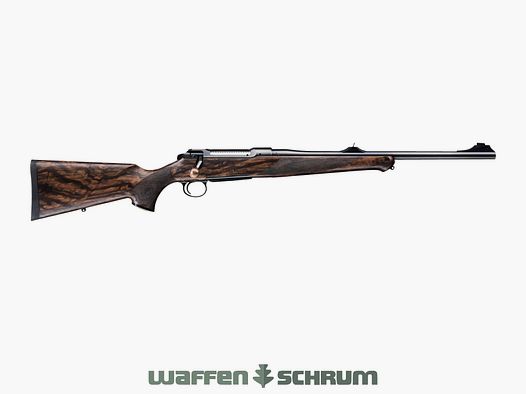 Sauer S101 Artemis