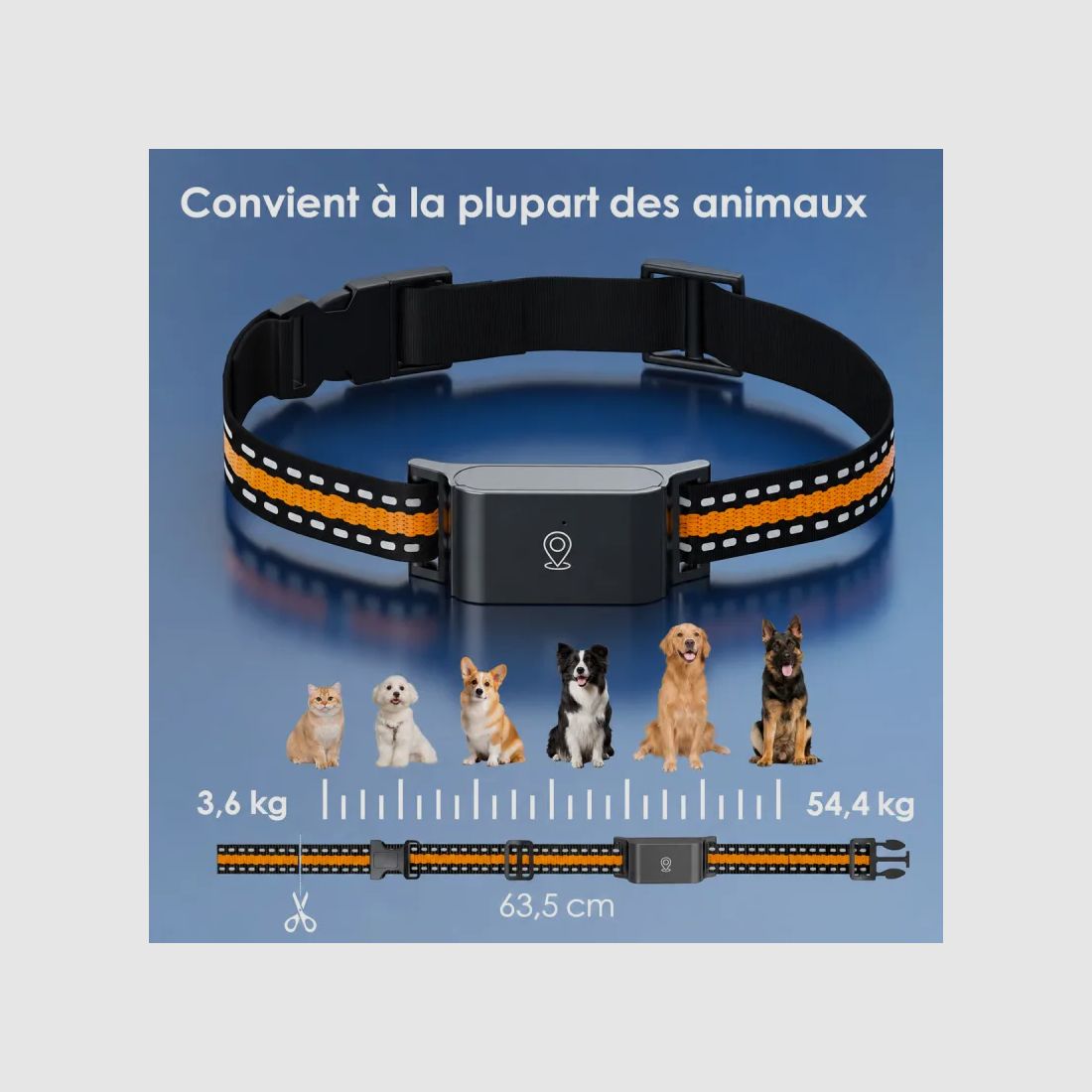 Collare GPS 4G per animali con abbonamento, immagine 5 di 13