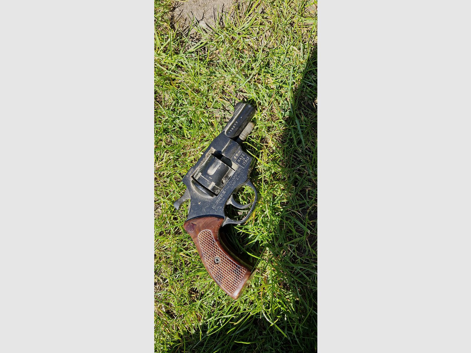 Umarex Model Champion