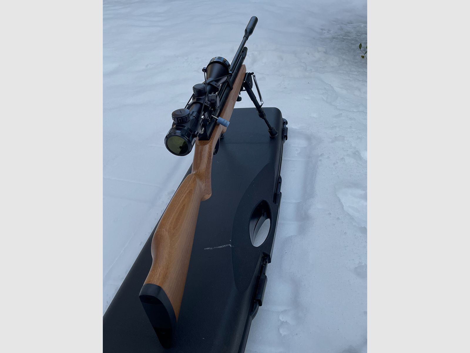 Diana Trailscout Wood Co2 4.5 diabolo p18