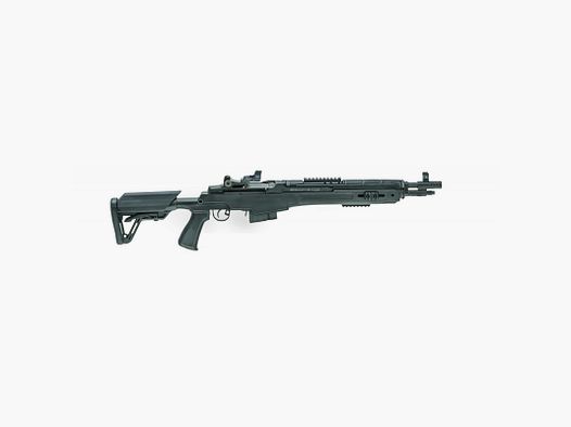 SPRINGFIELD M1A SOCOM .308 16P SCHWARZ DRAGONFLY ROTPUNKT 10 SCHUSS