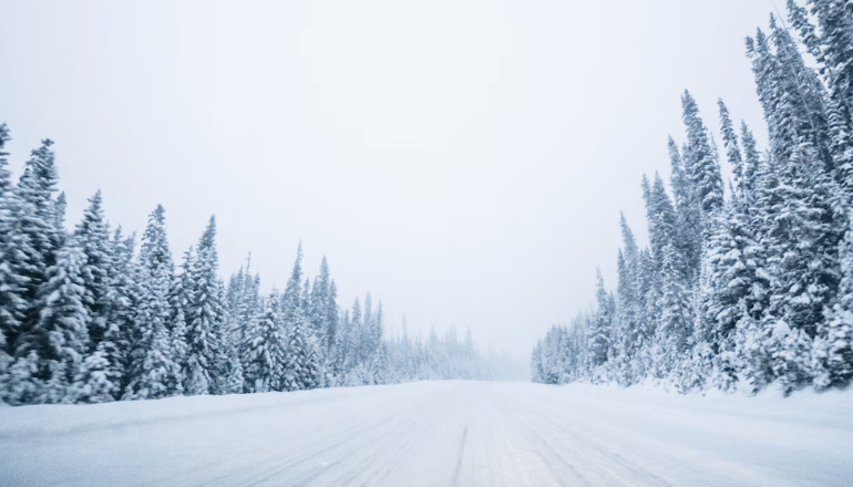 Hunting Equipment for the Cold Season