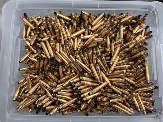 Patronenhülsen - Messing - 9mm Luger, .223 Rem - poliert, einmal verschossen
