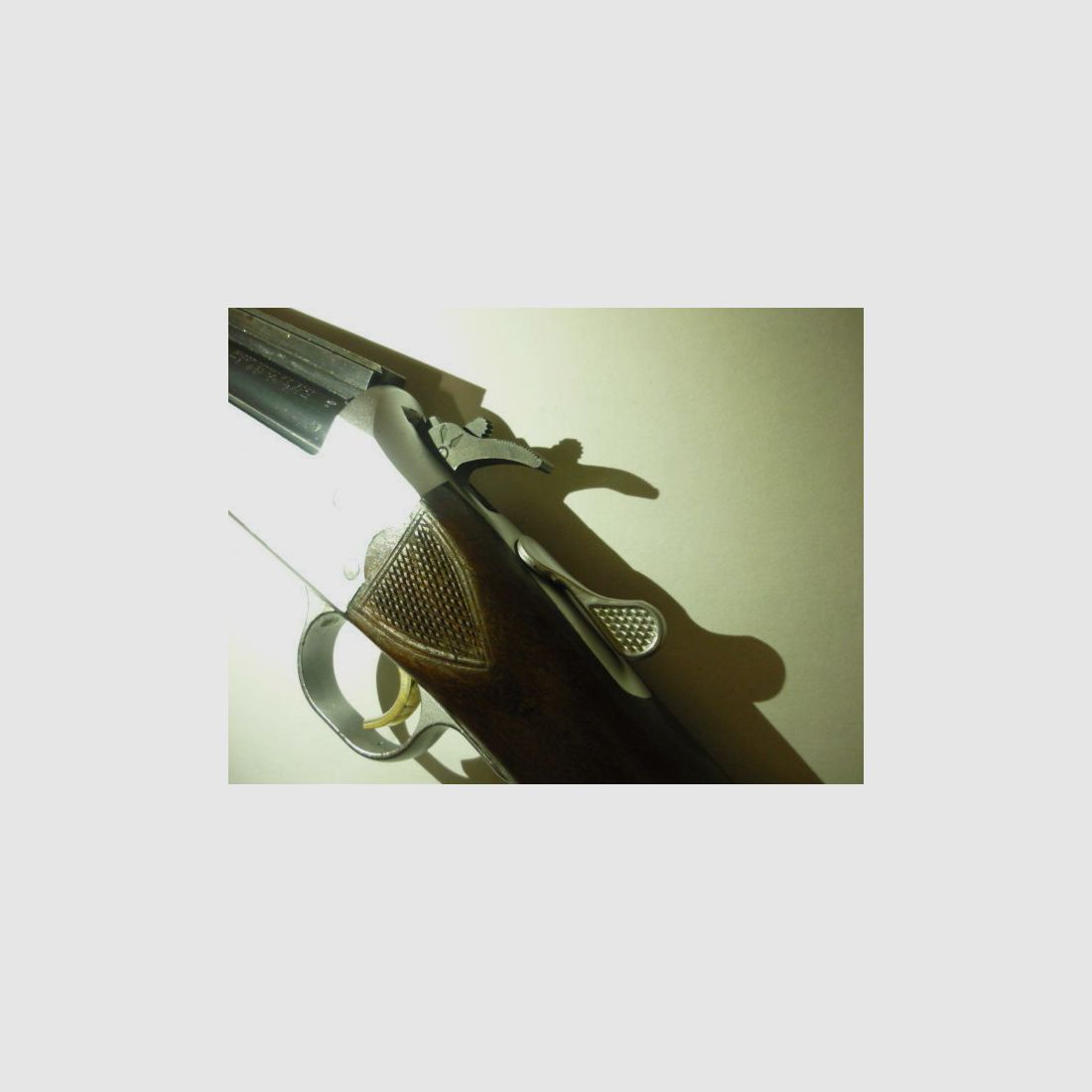 Savage Mod. 24 DL