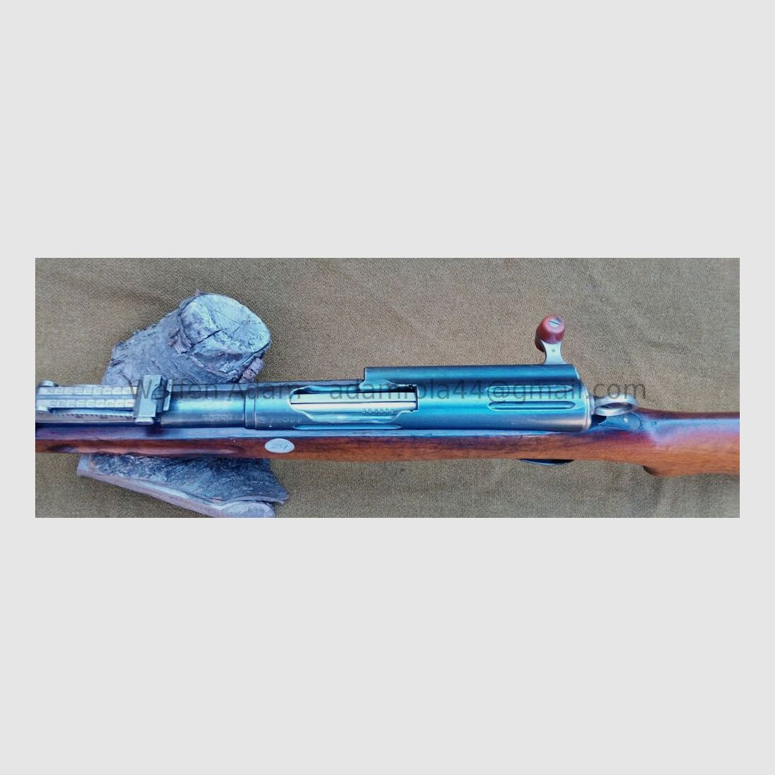 W+F, Fabbrica federale d'armi di Berna Fucile a otturatore G11, Grigioni, immagine 4 di 9