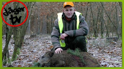 Drückjagd im Schlaubetal 2016