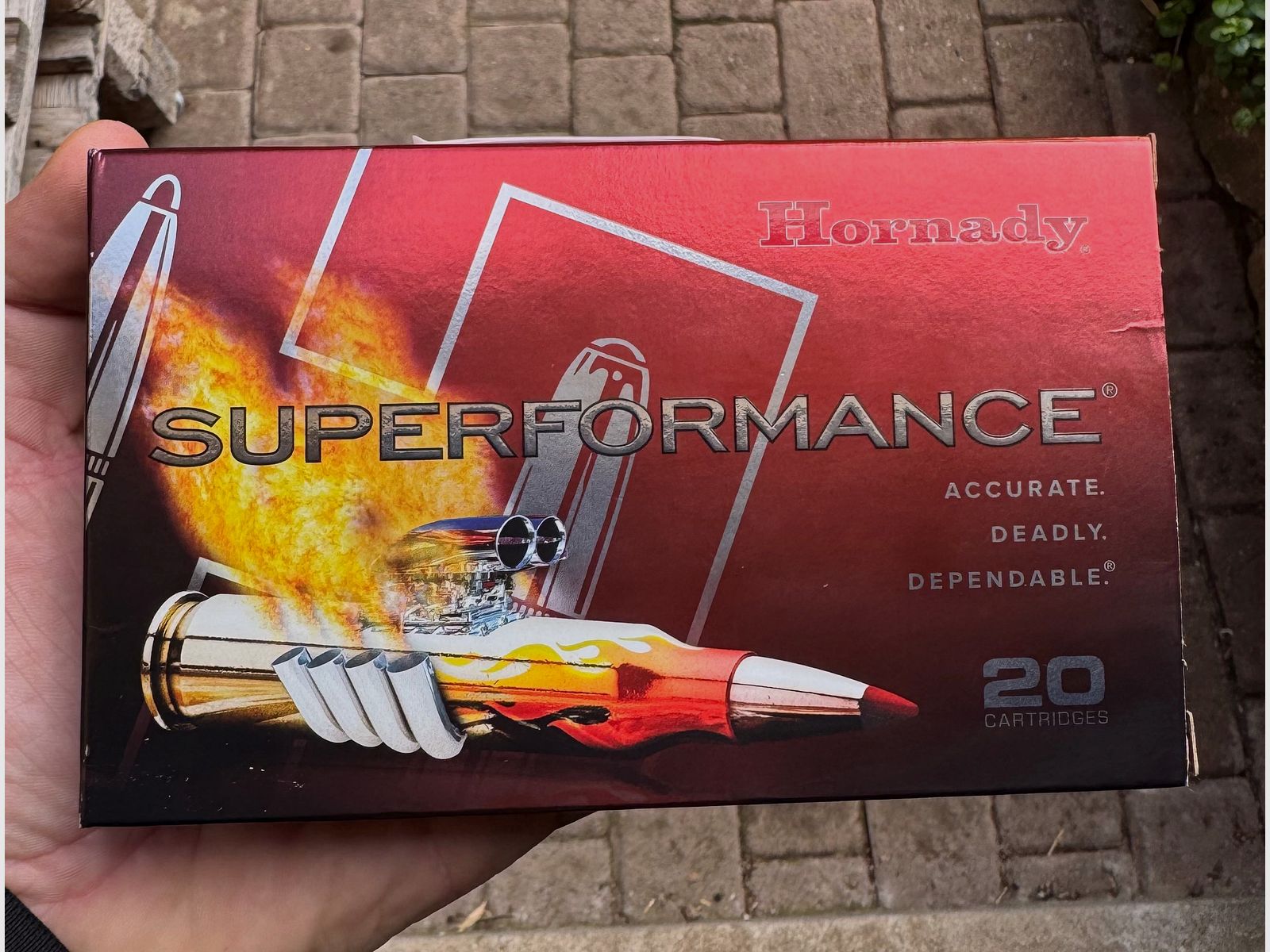 Hornady 300 Win Mag CX