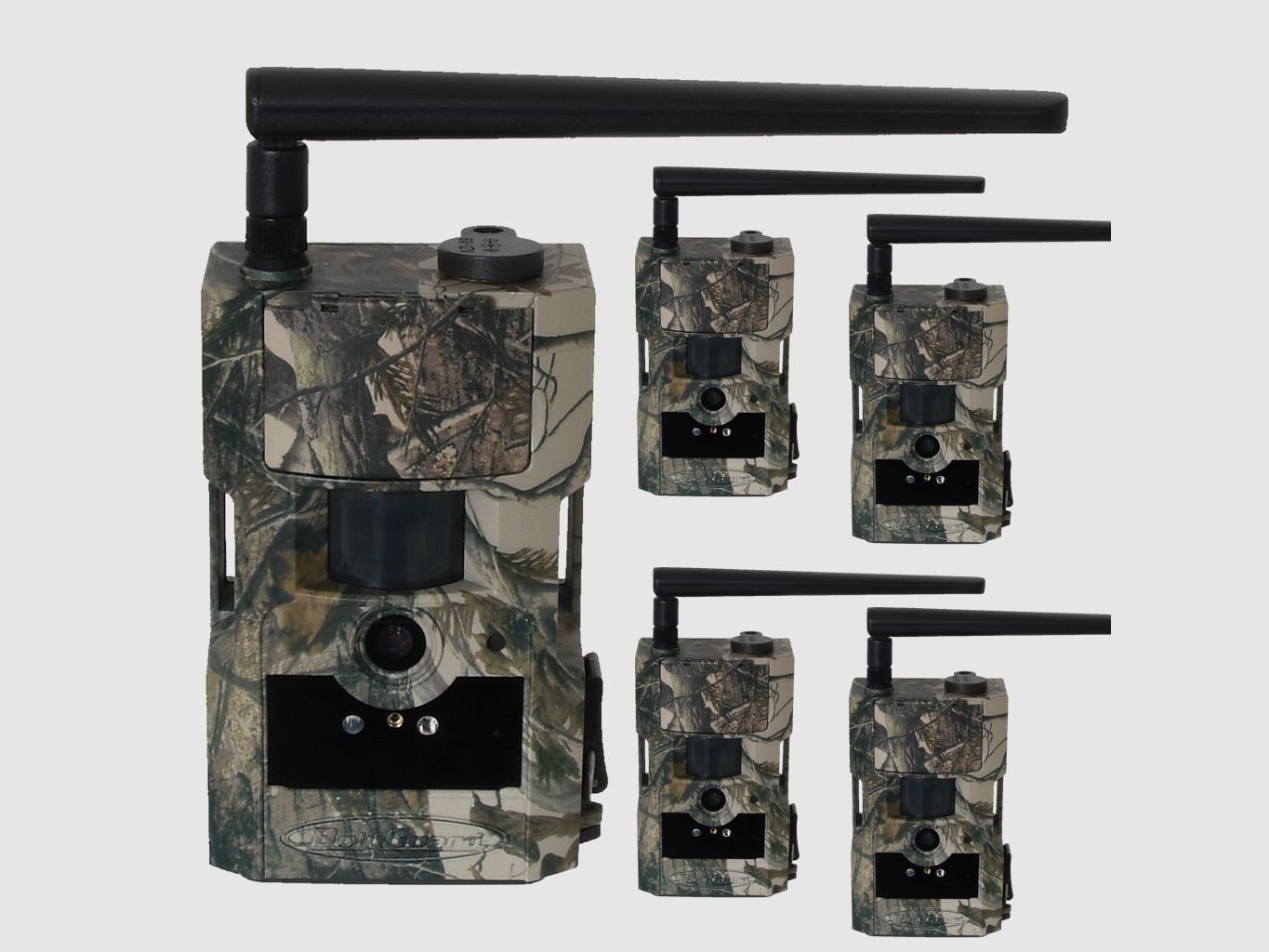 Pack de 5 caméras de chasse Bolyguard BG584G 4G - incluant une carte SIM Molnus de 3 mois