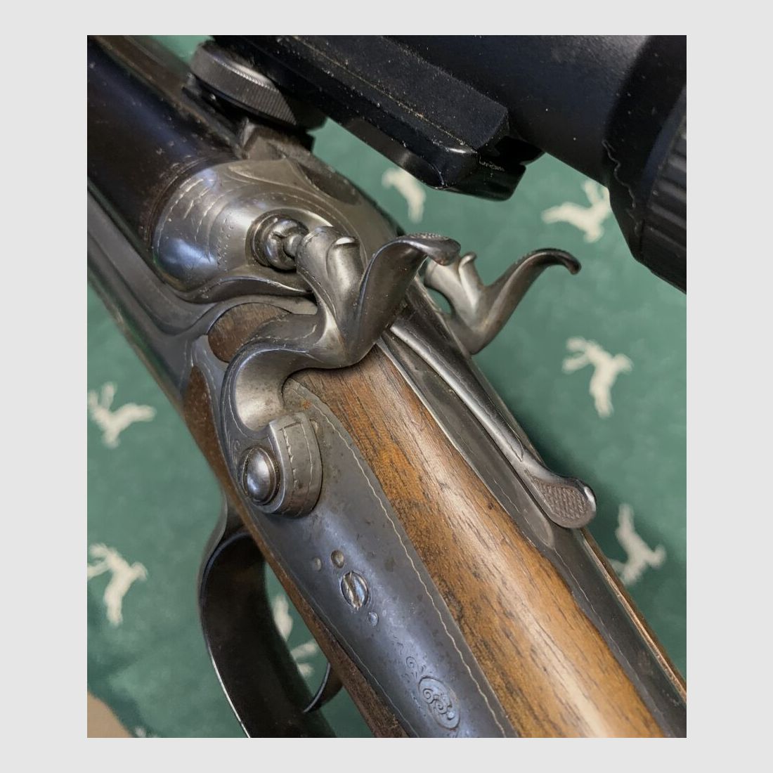 F.Kief Peine Hahndrilling ZF Kahles Helia CSX 3-12-x56 Leuchtabsehen - 8x57IR + 16/65